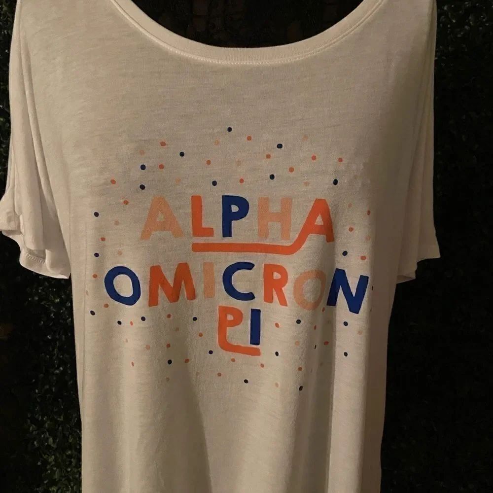 Alpha Omicron Pi Sorority Bella Canvas T-shirt L